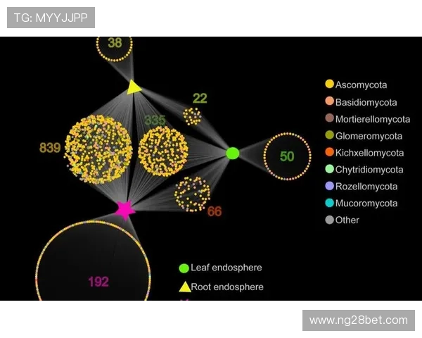 雷恩进攻体系：球员跑动与传球网络可视化研究